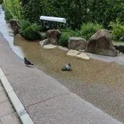 KJの画像