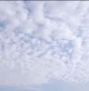 youショップの画像