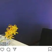 162102121の画像