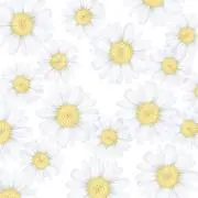 ❤︎の画像