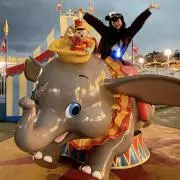 ダンボ！の画像