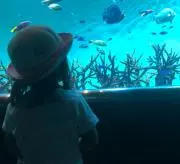 じゅりたんまん