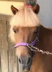 ヒデゾンビの画像