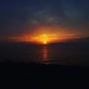 しょーんの画像