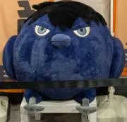 ぴっぴの画像