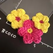 #cocoの画像