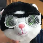 キミヲの画像