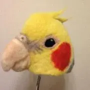 ㍿断然オカメ派