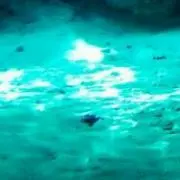 みなづき
