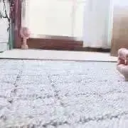 おさしみの画像