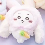 バニーの画像