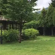 ひまわりの画像