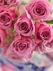 ROSE♡の画像
