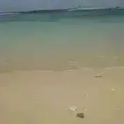 みゅうの画像