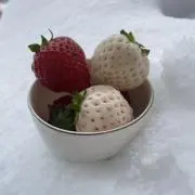きのの画像