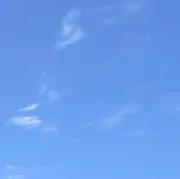 まるの画像