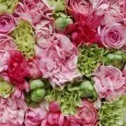 Image of S
