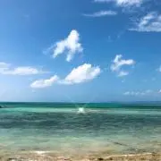 はーたんママの画像
