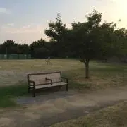 ちょっぱー