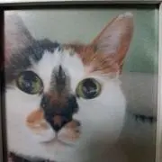 めい
