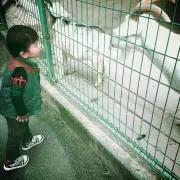こうmam