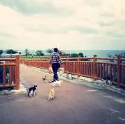 やまぞん.comの画像