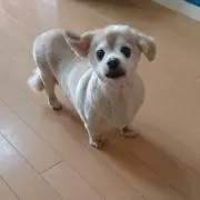 海かず
