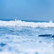 あかりの画像
