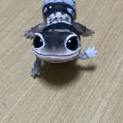 ひろみなの画像