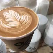よぴこの画像
