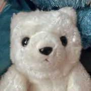 ごんたの画像