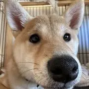HiroKの画像