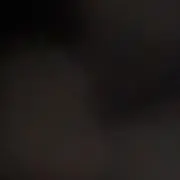 ゆの画像