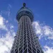 まおまお