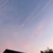aiの画像