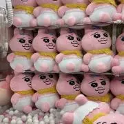 Mの画像