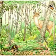 natural garden♡プロフ必読