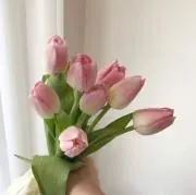 miiの画像