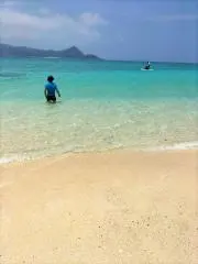 エリィの画像
