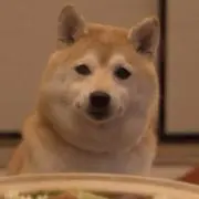 PONの画像