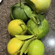 レモンshopの画像