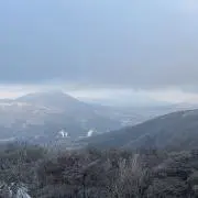 tamiの画像