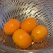 ミカンの画像