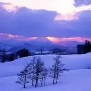 匿名発送@即購入大歓迎(^ ^)の画像