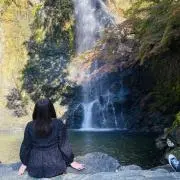 ponchanの画像