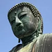 きんこ