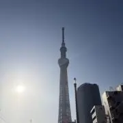 ひかる