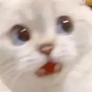 さとうの画像