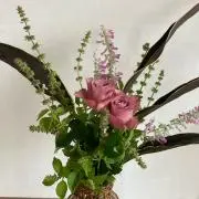 knemの画像
