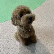 やすヒ